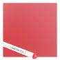 GERANIUM / Geranie, Sofort lieferbar