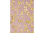 morepic-1