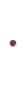 Fuchsia, Dieser Artikel ist nicht auf Lager und muss erst nachbestellt werden.