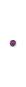 Purple, Dieser Artikel ist nicht auf Lager und muss erst nachbestellt werden.