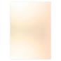 Metallic Champagner, Sofort lieferbar