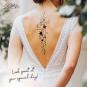 morepic-4