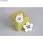 morepic-4